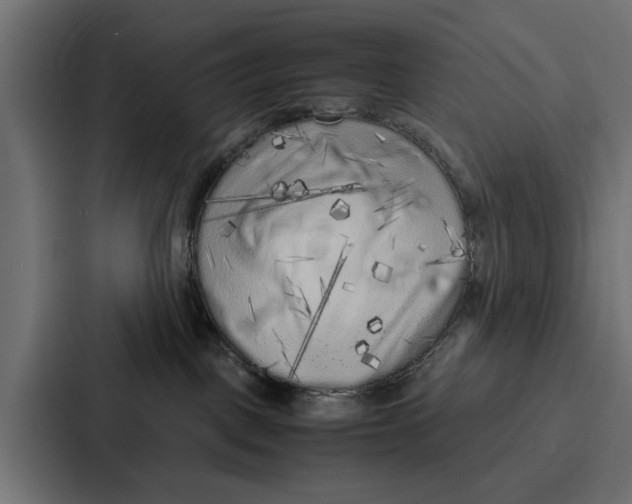 X0000087320093200705112145