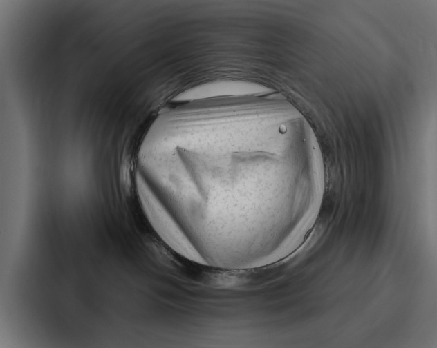 X0000087320094200705112145