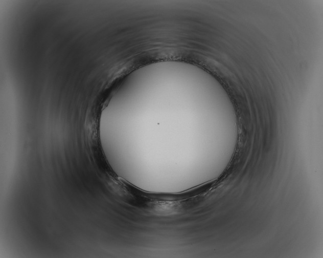 X0000087320096200705112145