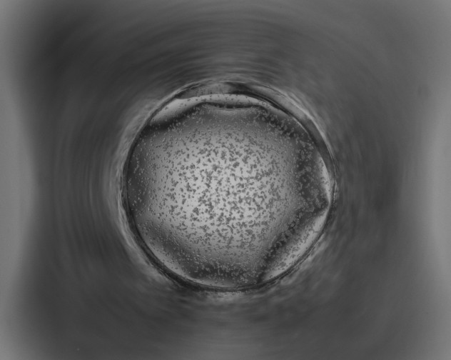 X0000087320097200705112145