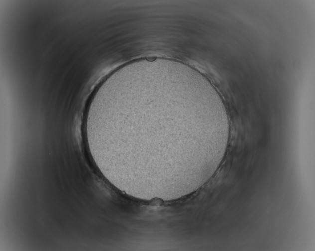 X0000087320098200705112145