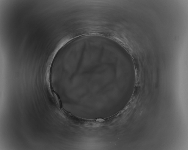 X0000087320099200705112145