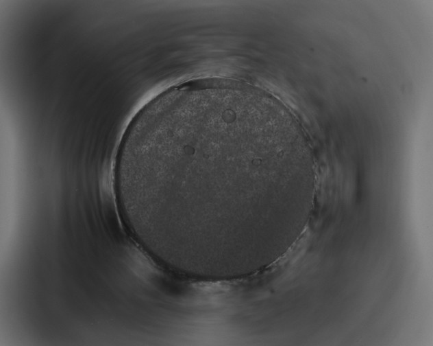 X0000087320100200705112145