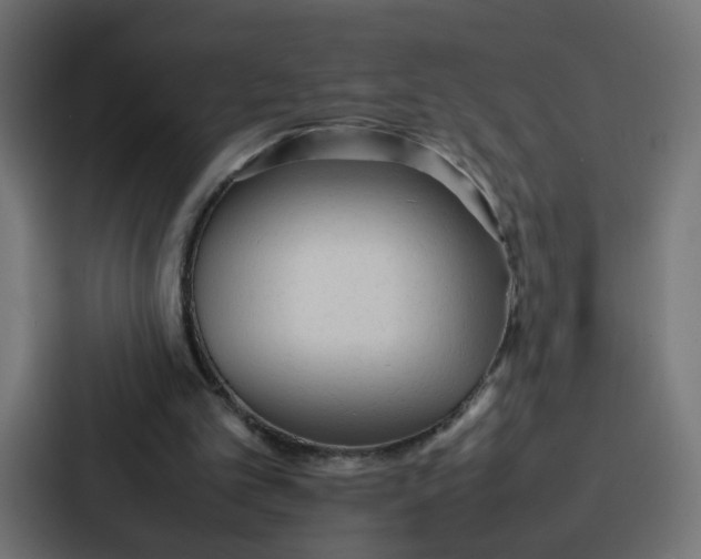 X0000087320101200705112145