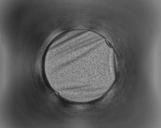 X0000087320103200705112145