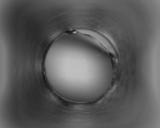 X0000087320105200705112145