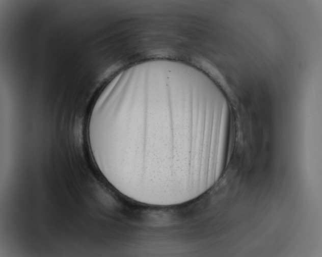 X0000087320106200705112145