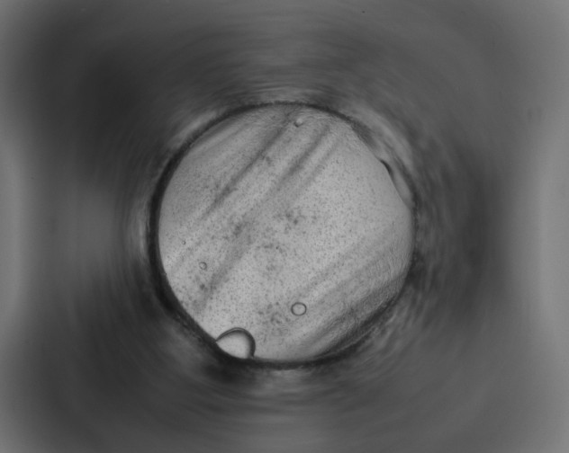 X0000087320107200705112145