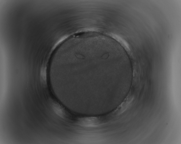 X0000087320108200705112145