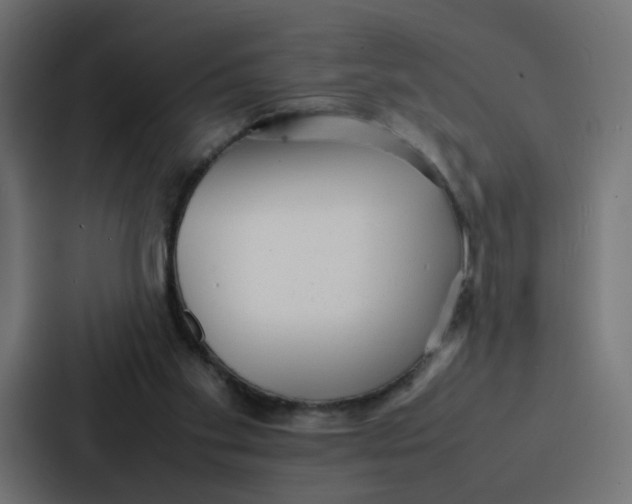 X0000087320109200705112145