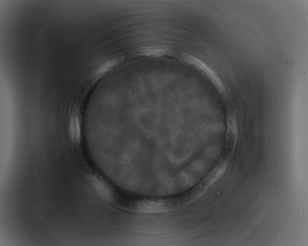 X0000087320110200705112145