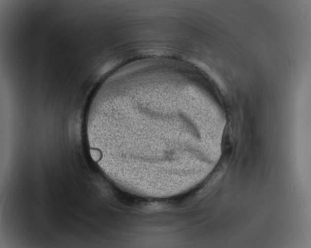 X0000087320111200705112145