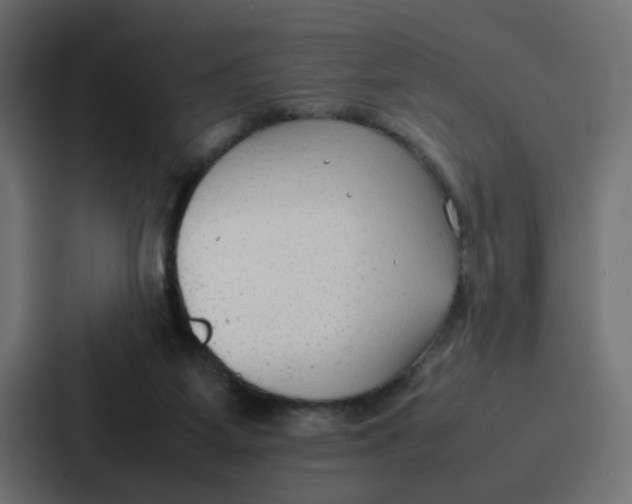 X0000087320115200705112145