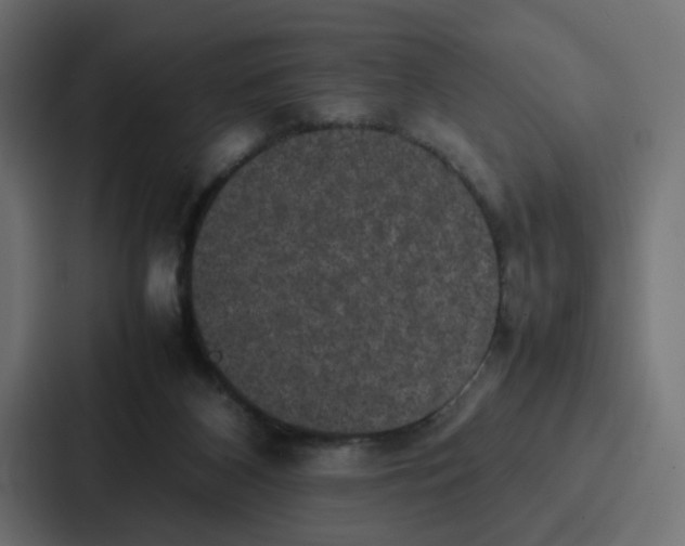 X0000087320116200705112145