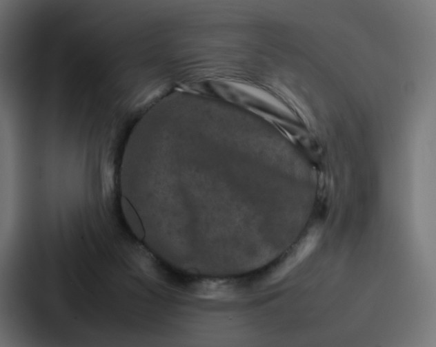 X0000087320117200705112145