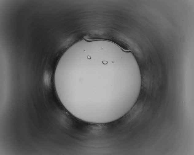 X0000087320118200705112145