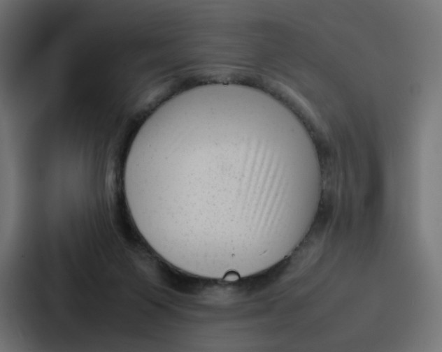 X0000087320119200705112145