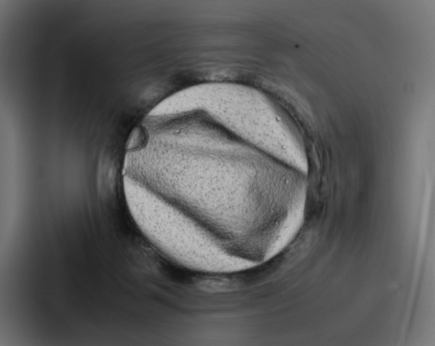 X0000087320123200705112144