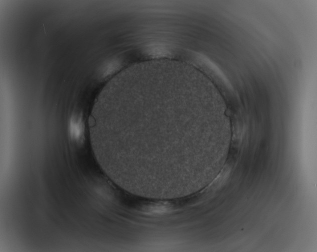 X0000087320124200705112144