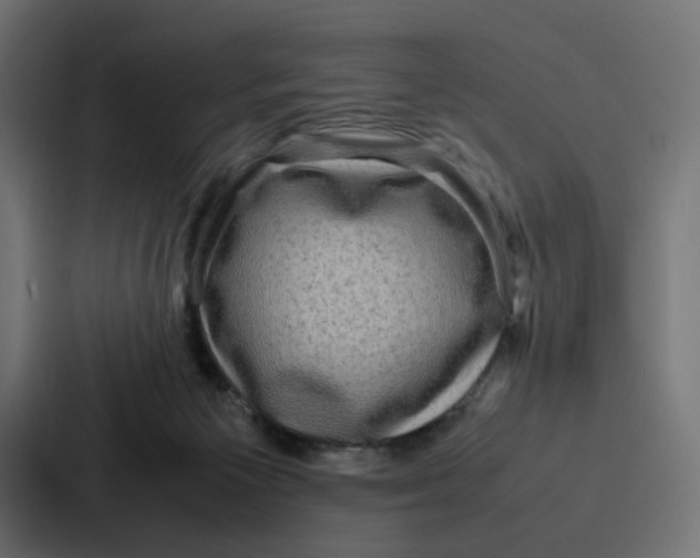 X0000087320125200705112144