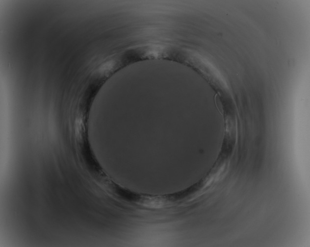 X0000087320127200705112144