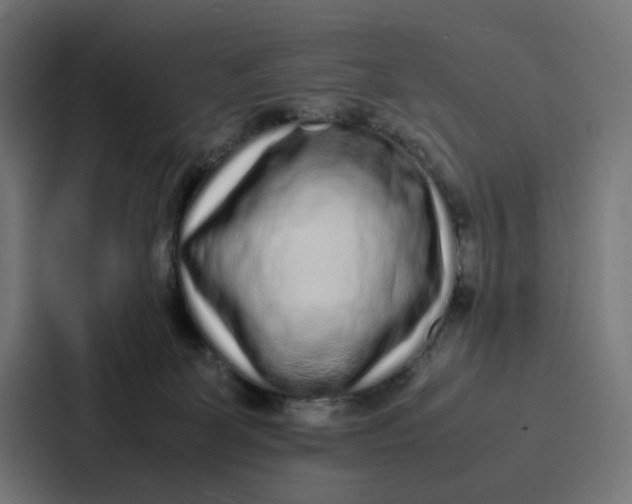 X0000087320131200705112144