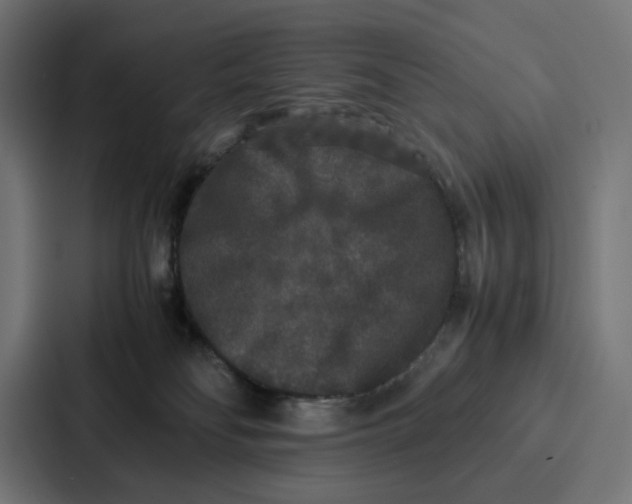 X0000087320134200705112144