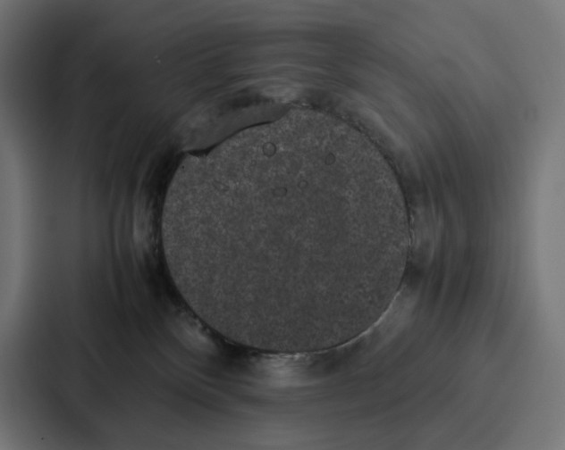 X0000087320136200705112144