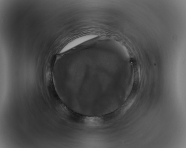 X0000087320137200705112144