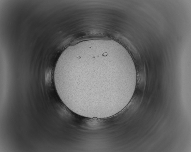 X0000087320142200705112144