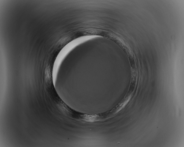 X0000087320143200705112144