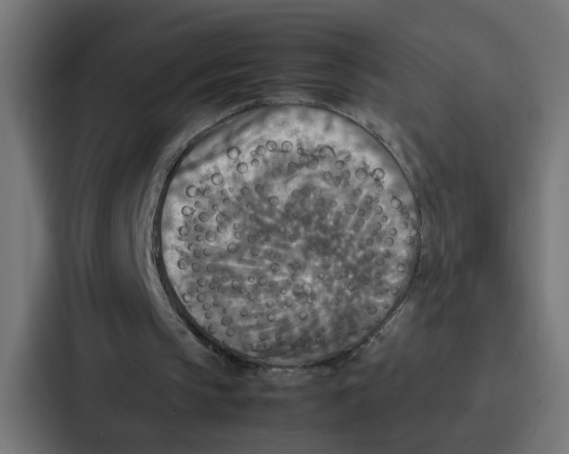 X0000087320145200705112144