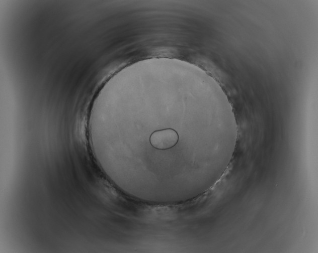 X0000087320146200705112144