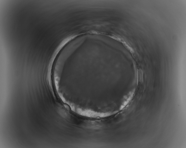 X0000087320147200705112144