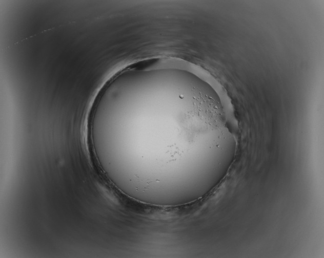 X0000087320148200705112144