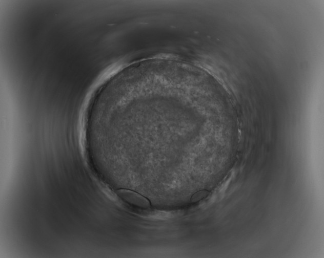 X0000087320149200705112144