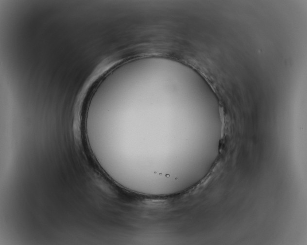 X0000087320150200705112144