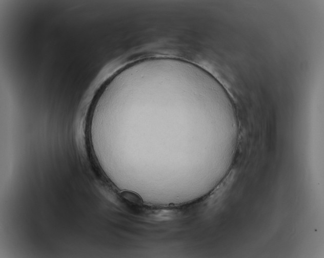 X0000087320151200705112144