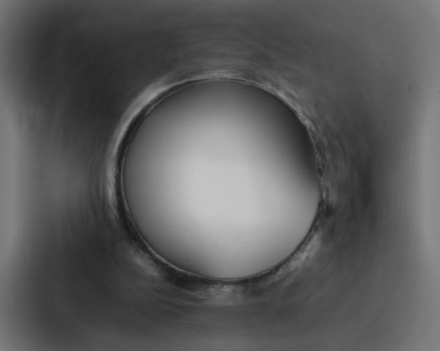 X0000087320152200705112144