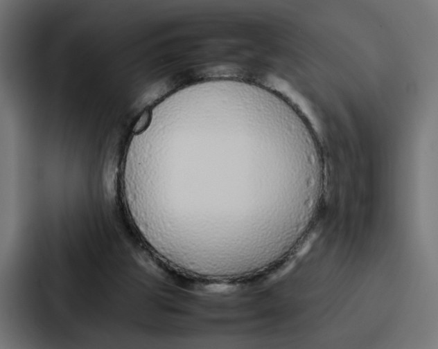 X0000087320153200705112144