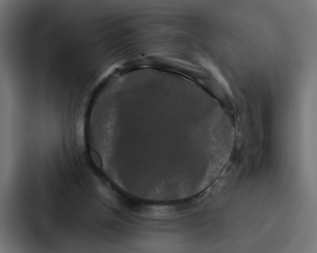 X0000087320154200705112144