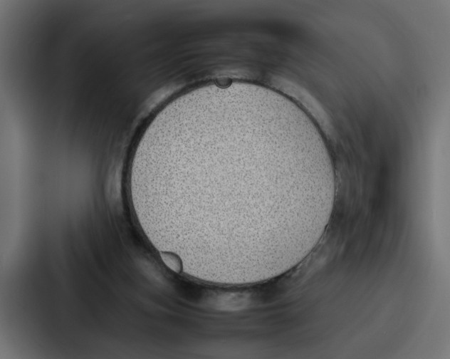 X0000087320155200705112144