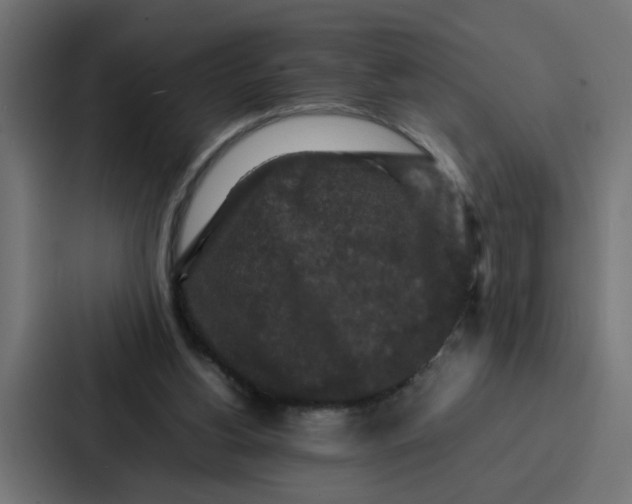 X0000087320156200705112144