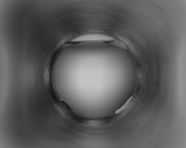 X0000087320158200705112144