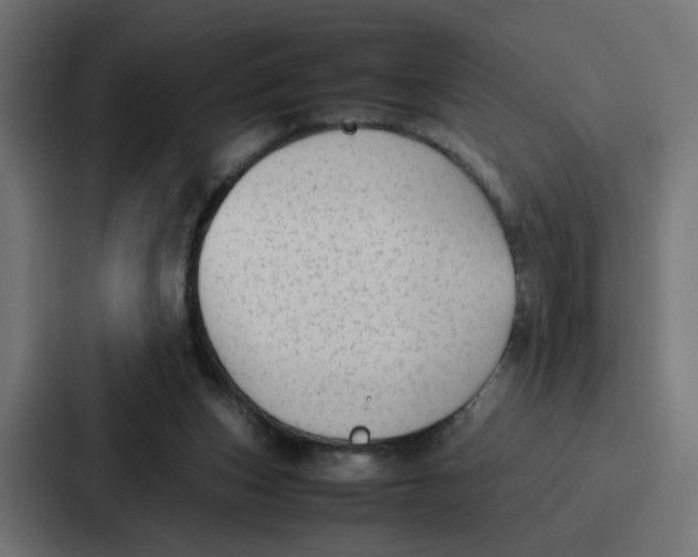 X0000087320159200705112144