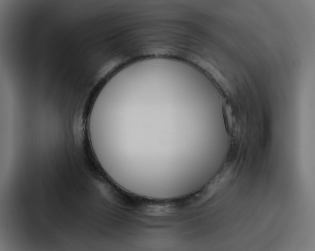 X0000087320160200705112144