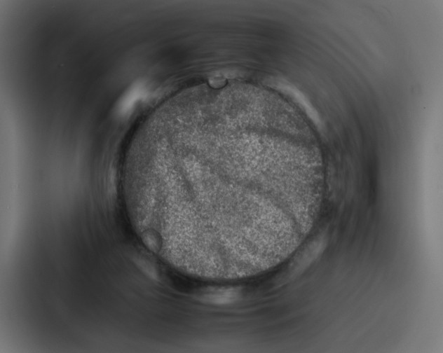 X0000087320161200705112144