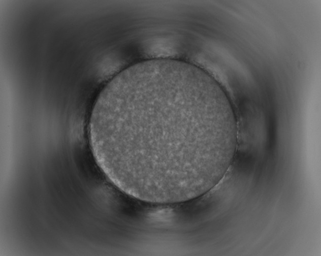 X0000087320162200705112144