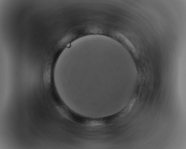 X0000087320163200705112144