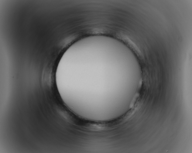 X0000087320164200705112144